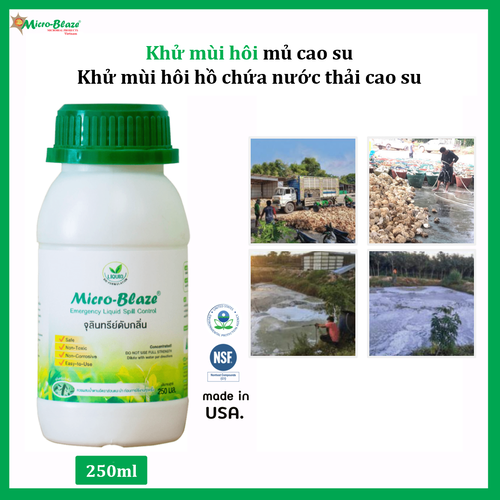 shop-vi-sinh-micro-blaze-elsc-250ml-khu-mui-hoi-mu-cao-su-ho-chua-nuoc-thai-cao-su.png